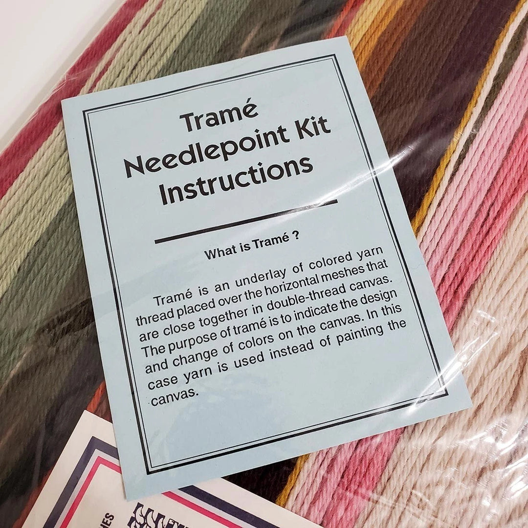 Lady Handicraft Tramme Needlepoint Kit Thomas Lawrence Pinkie 23" x 20" Wool